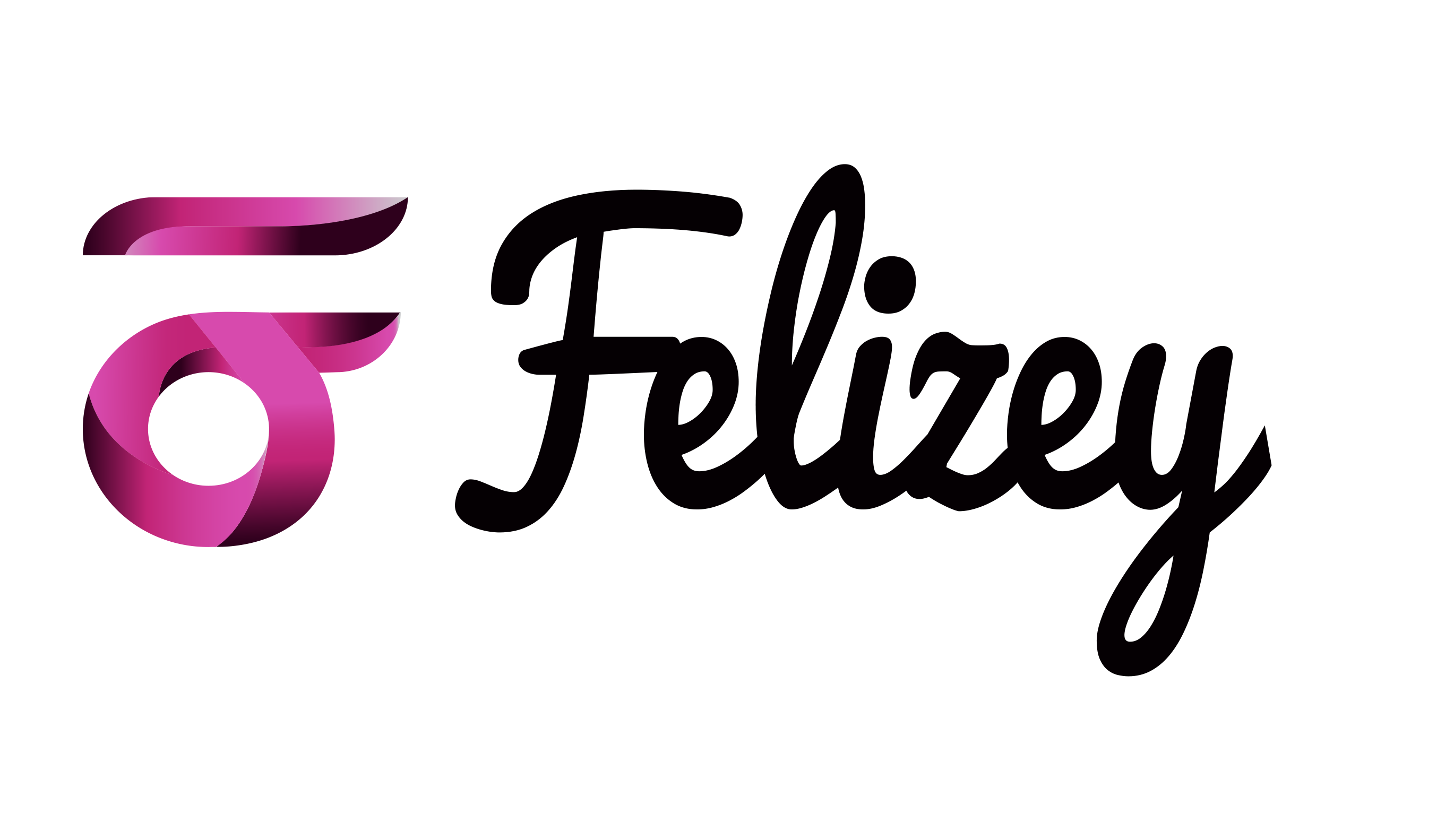 Felizey Logo